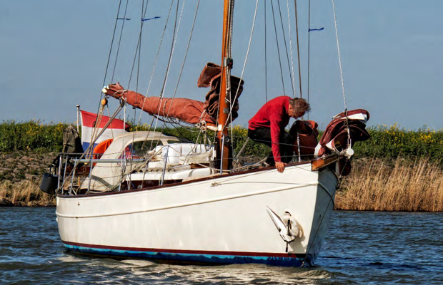 Eenhoorn