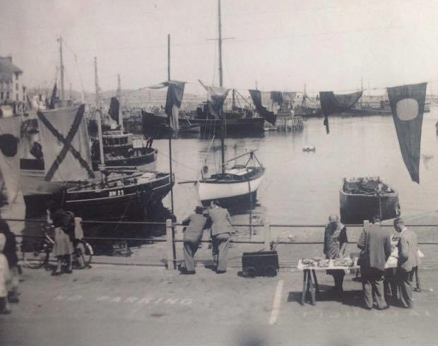 Brixham Waterbug