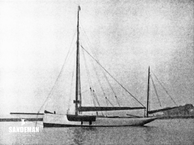 Tern II