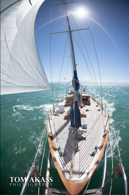 Willy Bolton Cruising
