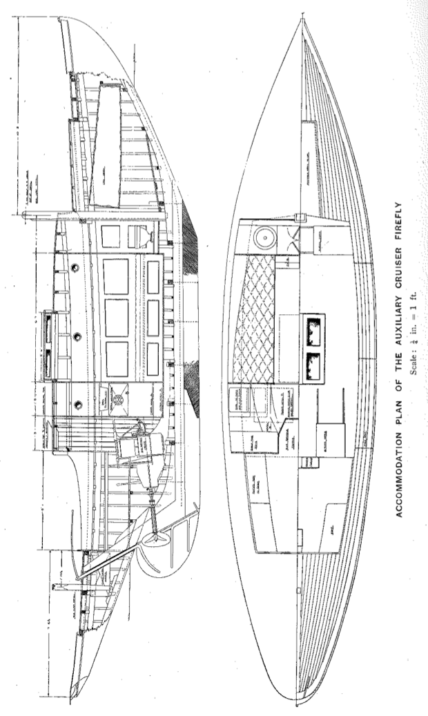 Firefly Line Drawings